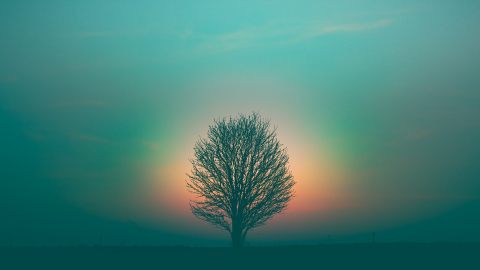 Do psychics or mediums communicate with spirits?